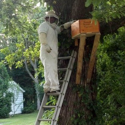 BeeKeeper Images