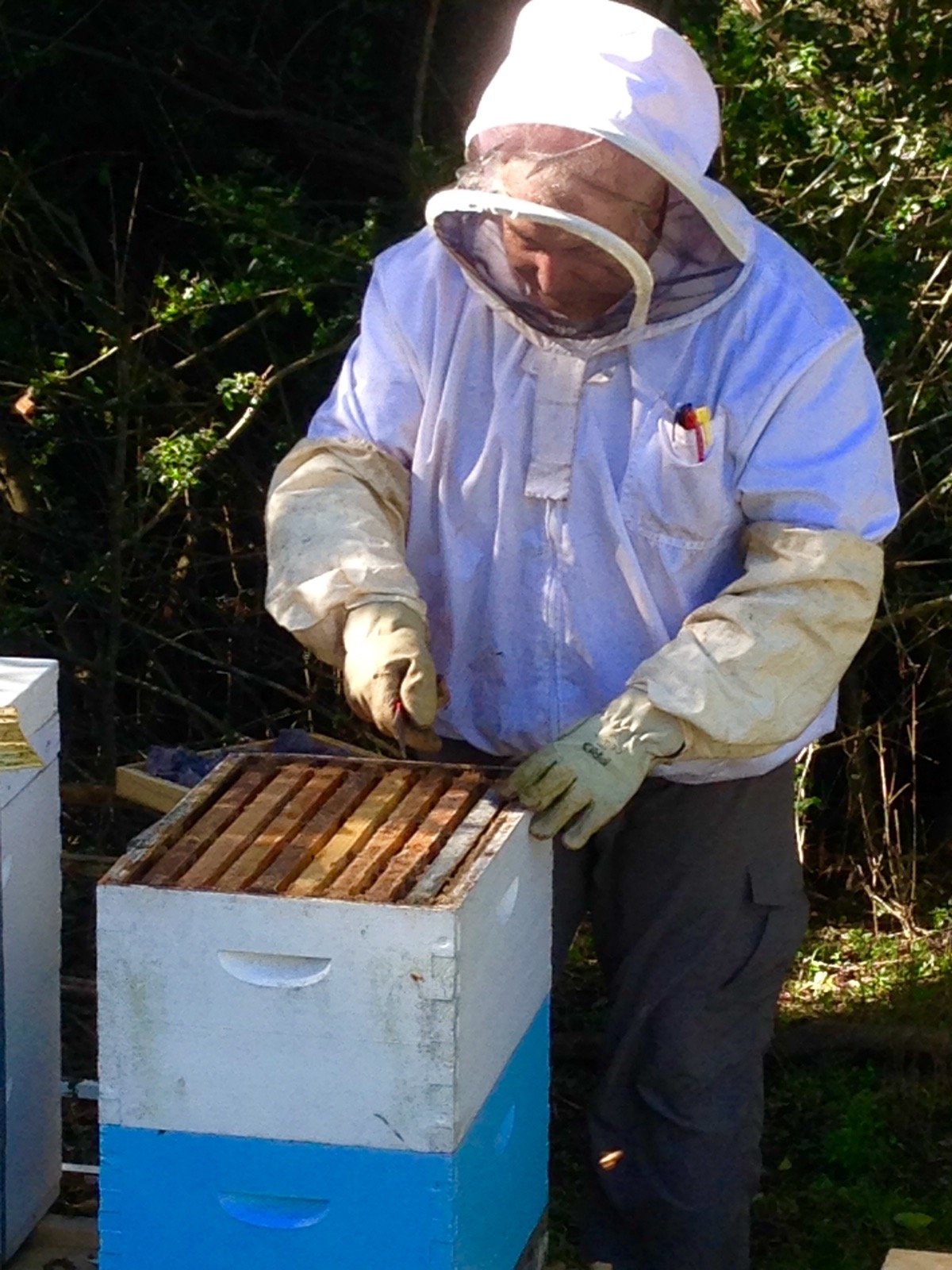 BeeKeeper Images