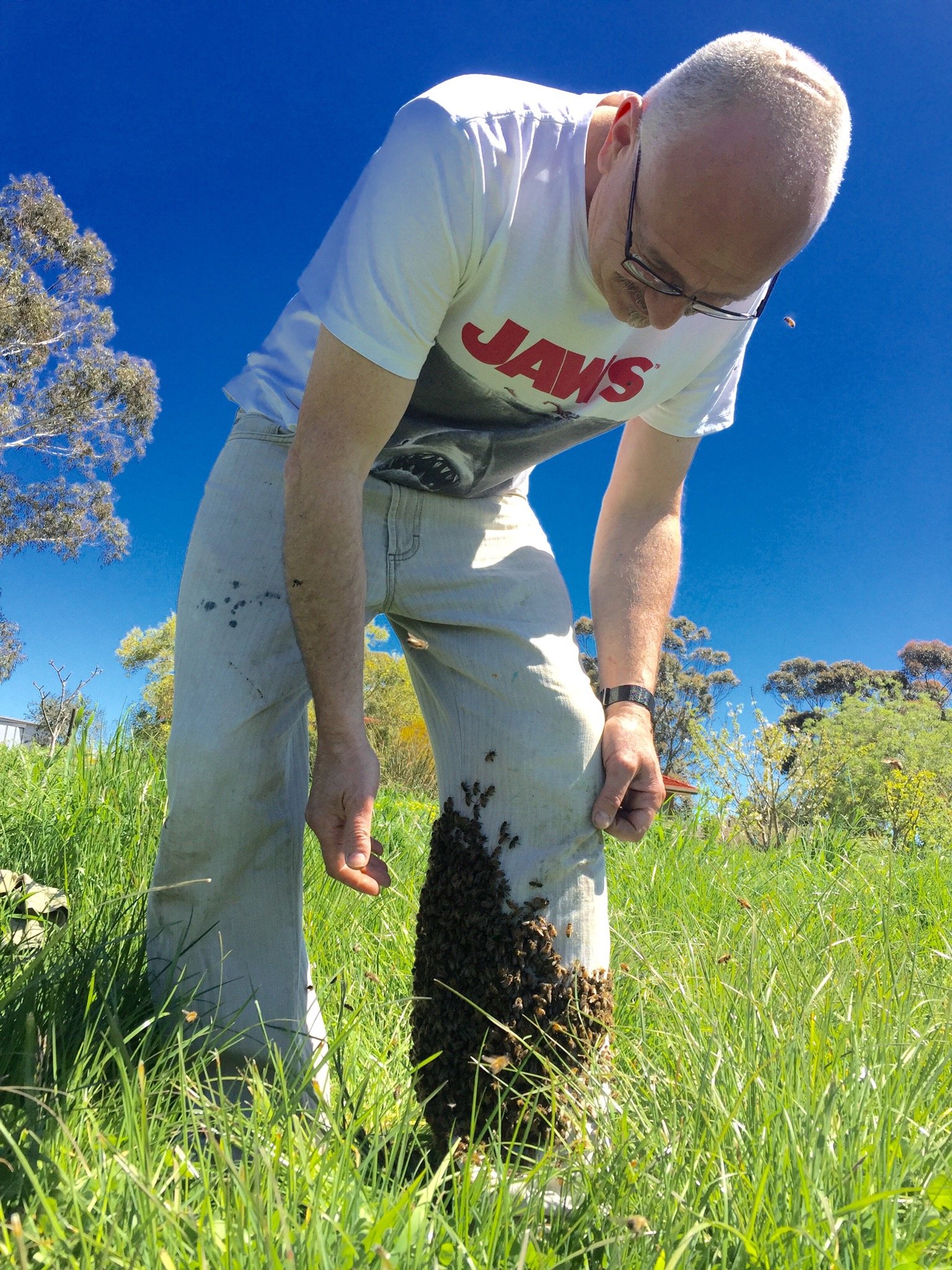 BeeKeeper Images