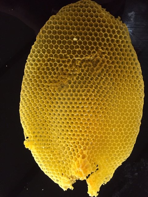 BeeKeeper Images
