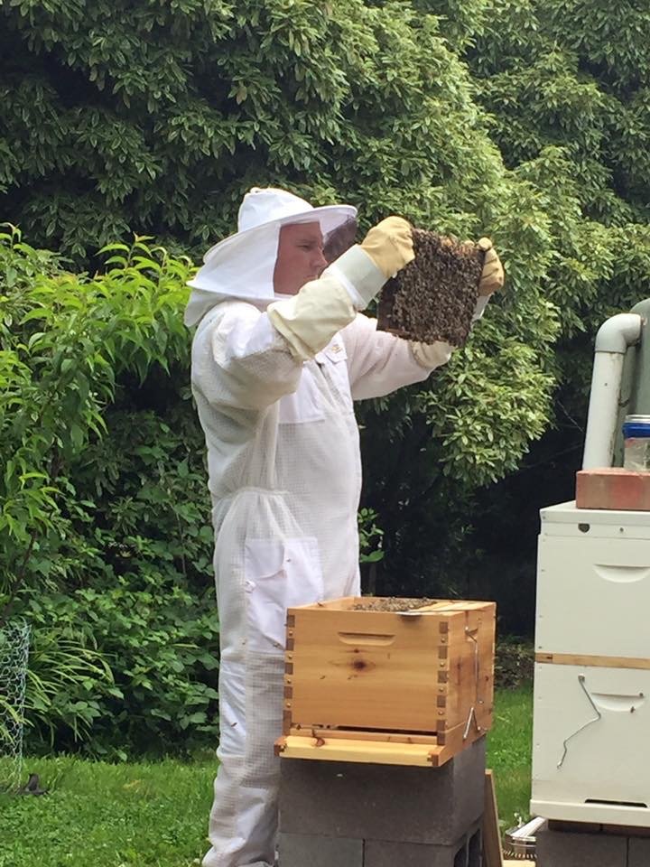 BeeKeeper Images