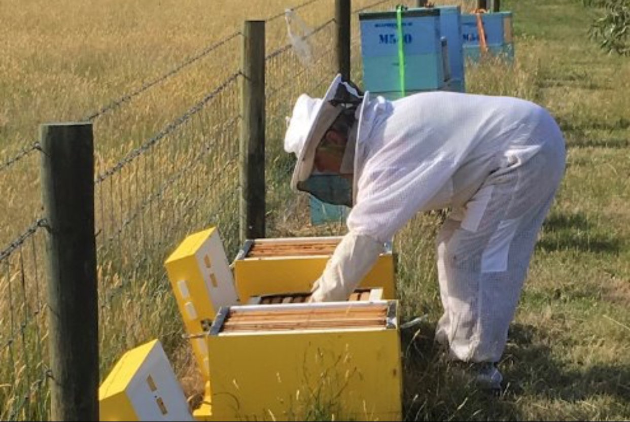 BeeKeeper Images